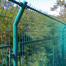 防护栏铁丝网 养殖防护铁丝网 双边丝隔离网厂家