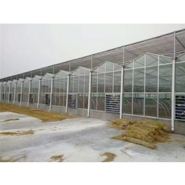 智能阳光板温室-阳光板温室-青州瀚洋农业
