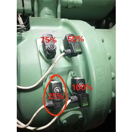 威海螺杆压缩机电机维修常用指南
