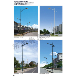 户外太阳能路灯改造-滨州太阳能路灯-鲁星灯饰诚信商家