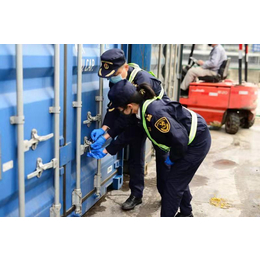南沙港再生塑胶粒海运进口报关操作流程及资料审价