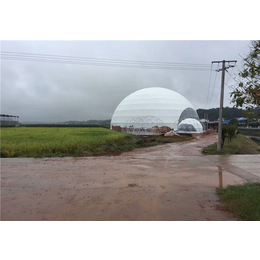 4-30米透明球形帐篷-卡帕帐篷-承德球形帐篷