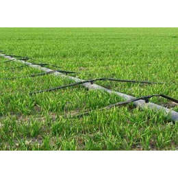 禾众绿霖灌溉(图)-农业滴灌施工-仙桃农业滴灌