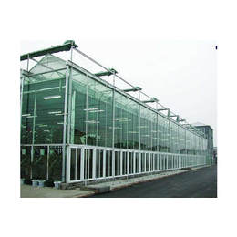 玻璃智能温室大棚-瑞青农林(在线咨询)-玉树玻璃温室