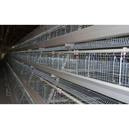 4层阶梯式蛋鸡笼价格-阶梯式蛋鸡笼-运盈机械鸡笼
