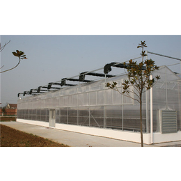 阳光板温室设计方案-和田地区阳光板温室设计-齐鑫温室玻璃大棚