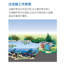 小区锦鲤鱼池设计施工-肇庆锦鲤鱼池设计施工-丰冀水族工程厂家