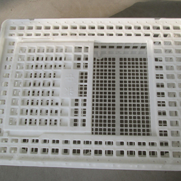 山东大鸡筐淘汰鸡笼塑料鸡鸭鹅周转筐尺寸