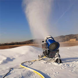  河北人工造雪机口碑好  雪量大案例多价格报价更实惠