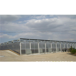 舞阳阳光板大棚造价-齐鑫温室玻璃大棚-尖顶阳光板大棚造价