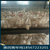 鹤壁市惠民青年鸡均匀度85以上产蛋率90以上罗曼灰青年鸡缩略图1