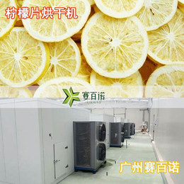柠檬片干燥机用电运行-2020全新升级-德阳柠檬片干燥机