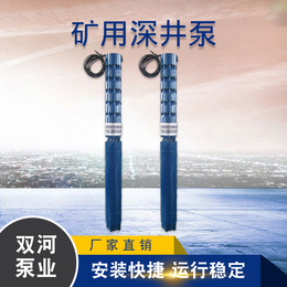 天津潜水泵---矿用深井泵-深井提水-深井潜水泵