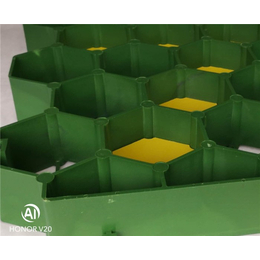 高强塑料植草格-植草格生产厂家批发-宜昌塑料植草格