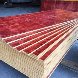 金桥板业长沙木模板规格齐全品质保障