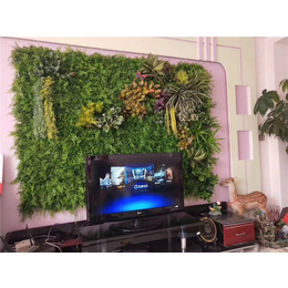 室内绿植隔断墙公司-美尚园艺(在线咨询)-玉溪绿植隔断墙公司