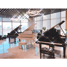 钢琴施坦威专卖店-蓝音乐器(在线咨询)-衡阳施坦威钢琴