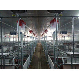 养殖料线-德力畜牧机械-养殖猪自动料线