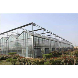 千宏温室(图)-玻璃温室建设标准-玻璃温室