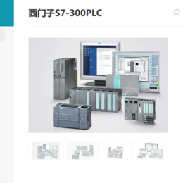 西门子6ES7221-1BH22-0XA8工控模块