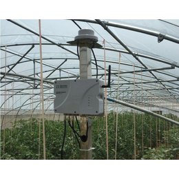兵峰，农产品物联网-钢架温室大棚-钢架温室大棚解决方案