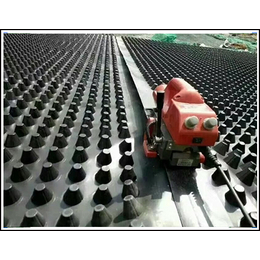 武汉大中型车库卷状排水异形板 耐老化排疏水板带施工