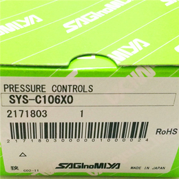 压力控制器-嘉兴裕隆-标准型压力控制器 SYS