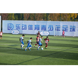 深圳乐动体育-乐动体育*培训机构-乐动足球培训中心
