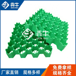 湖南小区园林绿化HDPE塑料植草格