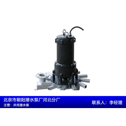 潜水污水泵生产-吉林潜水污水泵-朝阳污水泵*(查看)