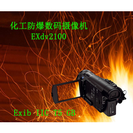 防爆摄像机Exdv2100多少钱-北京朗仕特(推荐商家)