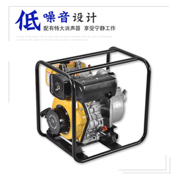 伊藤动力柴油机水泵YT20DP