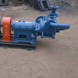 程跃泵业厂家(图)-压滤机进料泵图片-压滤机进料泵