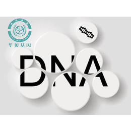 汕头做产前DNA检测鉴定所需费用及流程参考