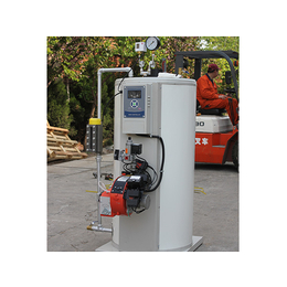 隆鑫-纯蒸汽发生器-水泥管纯蒸汽发生器