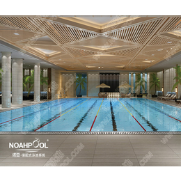 室内钢结构游泳池-诺亚天动力-室内钢结构游泳池造价
