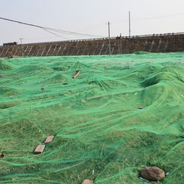 绿色遮阳网一平米多少钱-红河绿色遮阳网-远光绿色遮阳网价格