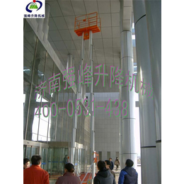 台州双桅柱铝合金高空作业平台-强峰升降机