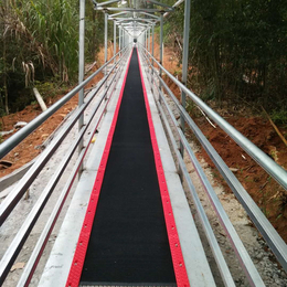  四川网红景区输送魔毯传送带 滑雪场魔毯厂家自主生产研发设计