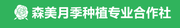 南阳市卧龙区蒲山镇森美月季种植专业合作社