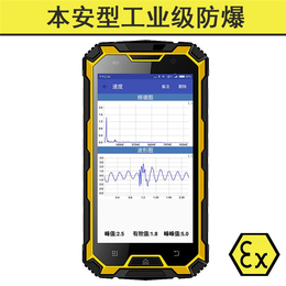 本安振动测量仪价格-设备管理*-振动测量仪