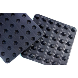 阻根塑料排水板-焦作塑料排水板-山东东诺工程材料
