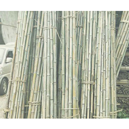 农用搭架竹批发-八方竹业(在线咨询)-重庆农用搭架竹
