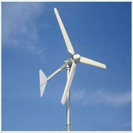 湛江蓝润生产20kw大型风力发电机强风自动保护