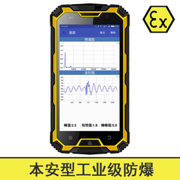 本安振动测试仪哪里有场面-振动测试仪-青岛东方嘉仪(查看)