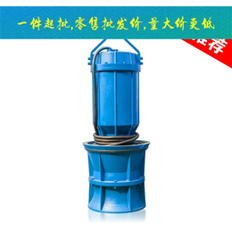 潜水轴流泵价格-潜水轴流泵-中蓝泵业天津(查看)