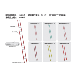 金锚梯具玻璃钢绝缘直梯单片 LCS290SGF1