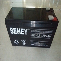 西力蓄电池12V9AH SEHEY NP912 UPS蓄电池