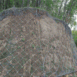 sns主动边坡防护网-衡沥网业-益阳主动边坡防护网