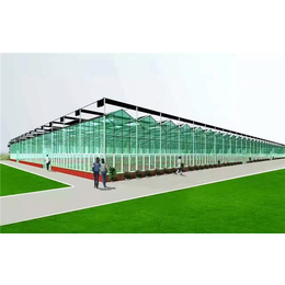 临汾玻璃温室大棚-【诺博大棚设计】-玻璃温室大棚怎样建设